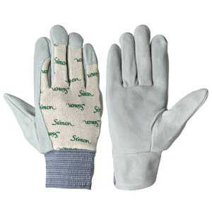 Ɨp v V v VS胁Xn S^bN Zh ɂ悭 ʋC Lk 10o 126