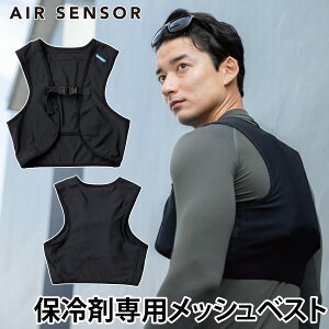 2025NVi bVxXg 26534 AIR SENSOR ICE N_} Xgb` ʋC ۗܐpxXgۗܕʔ tăxXg Y