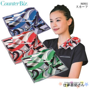 XJ[t 8091   t GXe NjbNjtH[ HANECTONE JE^[rY