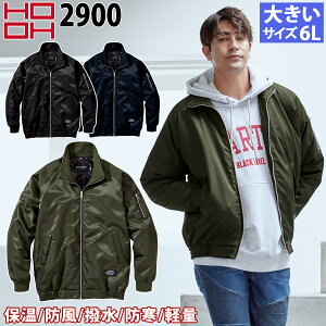 핞 HOOH CgWPbg 2900 6L 傫TCY  yh A~ g ۉ h  H~ ƕ ƒ  Y JWA Pc