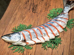 RЁEYp؂g1i2.5KgEj