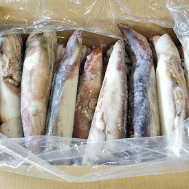 楽天市場 いか ワタ 冷凍の通販