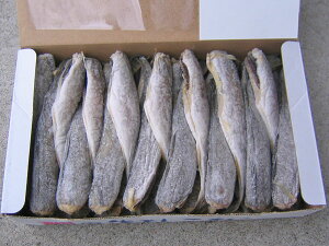 kCY X(R}CE܂)銱(M)1kg×3 (v3kg)i130Oj