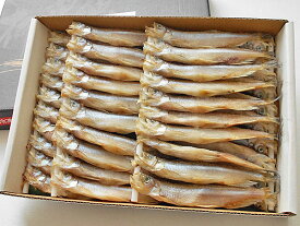 楽天市場 刺身 食材シシャモ の通販