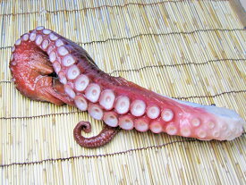 楽天市場 タコ 産地 都道府県 沖縄 魚介類 水産加工品 食品 の通販 楽天市場 タコ 産地 都道府県 沖縄 魚介類 水産加工品 食品 の通販