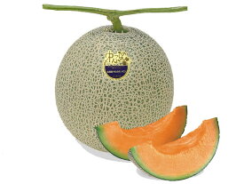 北海道産 富良野メロン 秀 1.6kg×1玉出荷期間 7月中旬〜9月中旬