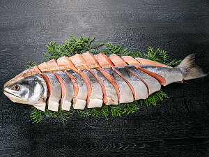  kC當EKY _̋nVpؐg1(1.8kg)