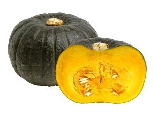  kCY IVڂ 10kg (5`7)×1yo׊:9{`10{z