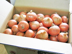  kCY ʂ˂(L) 20kg 9{`4{