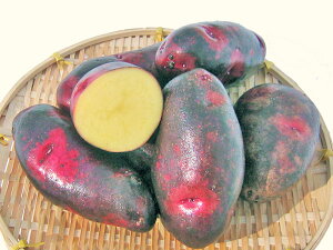 yEYszkCYႪfXgC[iM`LTCYj5Kgo׎ 10`4 Y