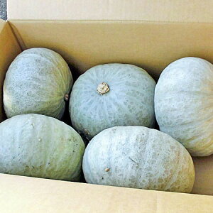 @kCYቻρi䂫傤jڂ10kg(4`7)×1yo׊:10{`1{z