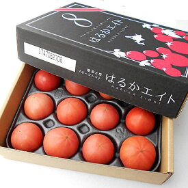 糖度8〜9度！北海道下川のフルーツトマト800g（A品・8〜15玉）出荷期間 6月中旬〜9月中旬