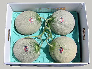 �k�C���[���Y �[��������(����E�D) 2kg×4�ʑ������� �①�z���o�׊��� 6�����{�`8����{