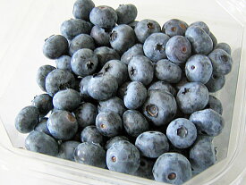 送料無料　北海道産ブルーベリー冷凍果実　500g(250g×2）