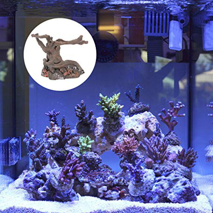 楽天市場 Popetpop 樹脂流木水族館の装飾水槽木の幹の装飾品ミニチュアツリーマイクロ風景の装飾水槽の隠れ家ベタ魚エビトカゲヤモリの洞窟の装飾 Stmlabo