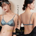 ブラジャー シルク メッシュ フルカップ ワイヤレス ブラ メール便送料無料 美胸 大きいサイズ 小さいサイズ 貧乳 小胸 プチバスト ノンワイヤー ブラレット AAカップ アンダー60 アンダー85 かわいい セクシー 透け感 おうち時間 ルームウェア