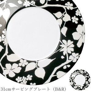  HyBios 31cmT[rOv[giB&RjzXgH M mH 킢 studio010 ZĂ uh  { AeB[N k HyۓzySilent-TCg-z