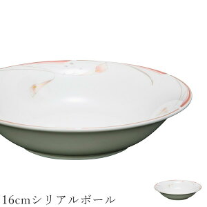  [M ԕyFashion Plates 16cmVA{[zXgH k mH 킢 studio010 ZĂ uh  { HyۓzySilent-TCg-z