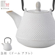 【南部鉄びん 急須 （ドーム アラレ）（ホワイトゴールド）】480cc 内側ホーロー仕上げ 直火不可 南部鉄…