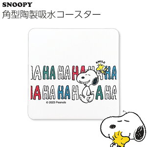 yXk[s[HAHAHA p^zR[X^[zSNOOPY 킢  {yzySilent-TCg-z