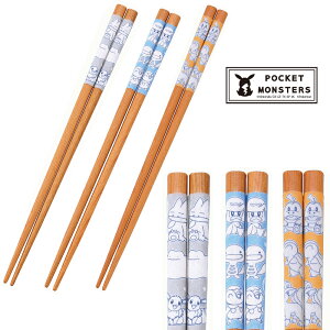 킢  k  a Hy|P zpokemon LN^[ { uhyRXz