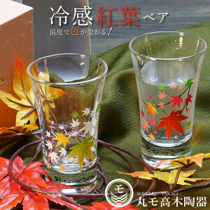 yAOX Mtgy⊴gt OXVJ yAZbgzFς [J[d Ki 蕨 { t j q jq  qp 킢 OX^u[yۃؓ