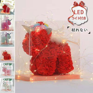  v[g X^fBO \[vt[  ԑ AWg u[P jR[ o Ό ͂Ȃ  a