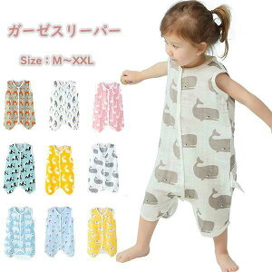 X[p[ LbY K[[ xr[ V Ԃ t   j̎q ̎q pW} OJ [EFA  Q q  [