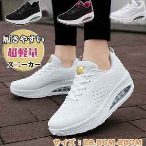 Xj[J[ fB[X t@HlC EH[LOV[Y jOV[Y ꂢ   y ʋC ~ b L X|[cV[Y ^C