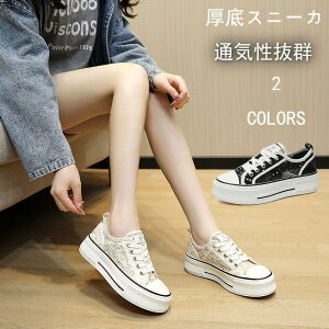 Xj[J[ fB[X  jO EH[LO g[jO V[Y W ʋCQ y C 22.5cm?25.0cm