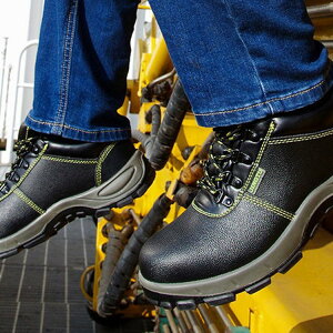 |c ܐی Z[teB[V[Y Y SC ƌC Y [NV[Y SV[Y@Xj[J[@ϊϖ ~ Ռz H y