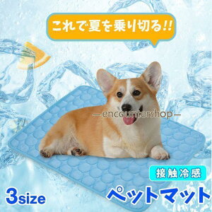 ybg}bg ėp ⊴}bg ڐG⊴ Ђ }bg  L ybg Ђ ⊴pbh ybg}bg N[}bg p}bg