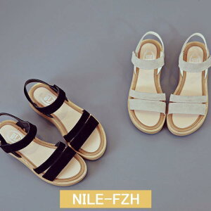 T_ fB[X [q[ tbg }WbNe[v ubN x[W XG[h Vv JWA ꂢ 