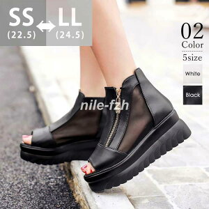 u[cT_ T_ X|[cT_ bVT_ fB[X T}[Xj[J[ q ̎q  t   22.5-25.0