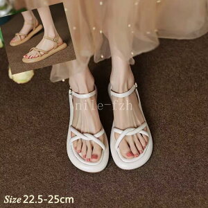 T_ fB[X ؂ n y y ʋC r EH[LOV[Y ʋ