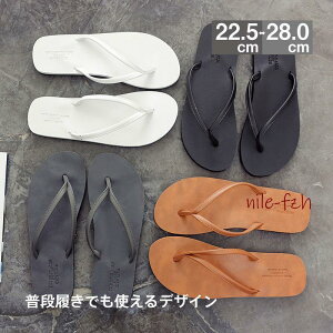 r[`T_ fB[X Y  C i gOT_ [q[ gO ₷ AEghA  r[` s v[