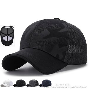 Lbv Y Xq fB[X bV UVJbg ʕ TCY  ʋC z Ăh~ 悯 싅X ̓