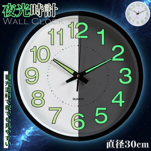 v Ǌ|v dg É  ی^ a30cm |v y ǎv k v Ǌ| 킢 