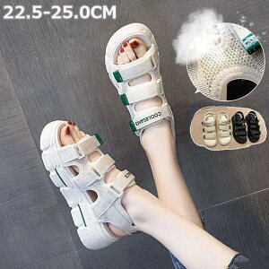 X|[cT_ fB[X Xj[J[  T_ ₷ ɂȂ _炩 h y JWA  Xgbv X|T r[`T_