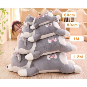 R[M[ R LN^[ ʂ ˂ނ˂ ܂v[g 킢 ObY80cm