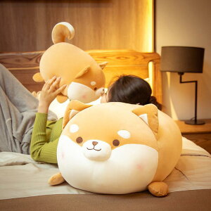 ʂ  Č   킢  NbV  ӂӂ a v[g70cm