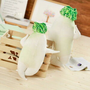 �Z�N�V�[�卪 ������ �N�b�V���� �������� ���₵ ��������O�b�Y �C���e���A 40cm