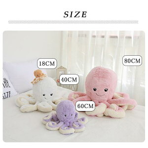 ʂ ^R  Cm ^Rl` ^Rʂ 킢^R 傫 炩 C   ޏ NX}X a v[g40cm