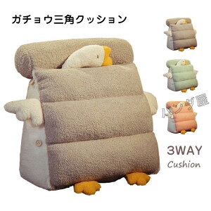 w OpNbV \t@[  xbh ԂQNbV Q   Dw  ObY 50×50×25cm