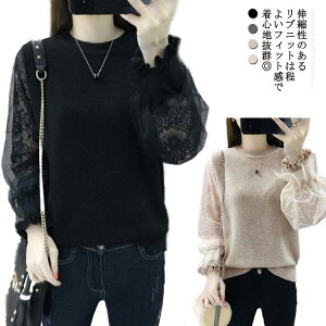 yzpt ujbg Z[^[ fB[X [X `[ t@bV N[lbN  t H H ~ ێ ۂ pt