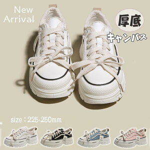 Xj[J[  5CM fB[X Xb| tbgV[Y PU  ~ Ȃ y ₷ L  [Jbg JWA r