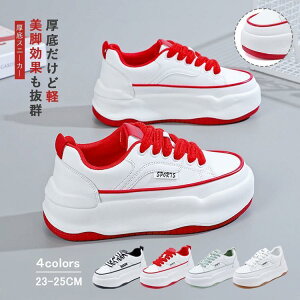 Xj[J[ fB[X C X|[cV[Y V[Y ~ h r r ₷ Ȃ ɂȂ ʋC Vv ʋ ʊw 