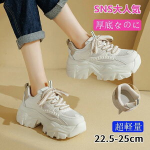 y fB[X Xj[J[ V[Y lC C CCh~ jOV[Y EH[LOV[Y fB[XV[Y g[jOV[Y  ^C