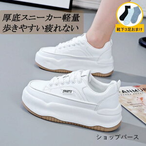 Xj[J[ fB[X C X|[cV[Y V[Y ~ h r r ₷ Ȃ ɂȂ ʋC Vv ʋ ʊw 