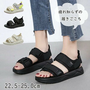 T_ fB[X  X|[cT_ T_ ~ r  ₷ Xj[J[T_ 傫TCY RtH[g V[Y y C